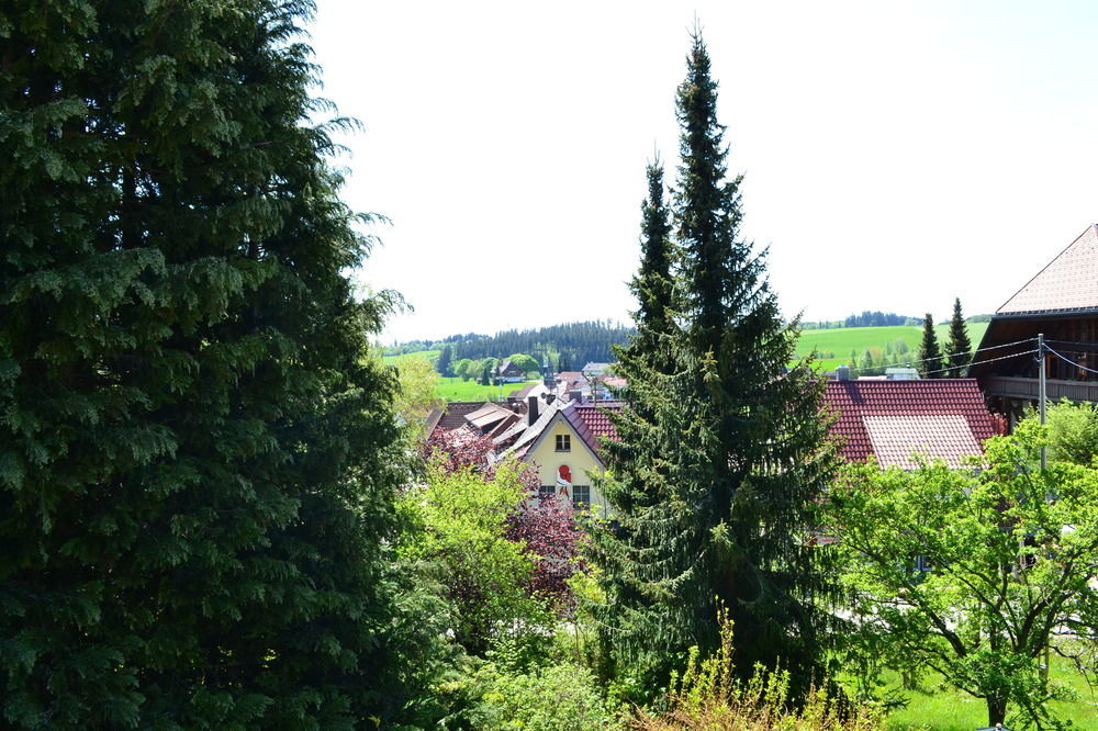 Black Forest Rooms Графенхаузен Екстериор снимка